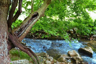 Photos of Hermel Al Kobra - Pharmacy