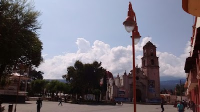 Photos of La Finca de Caar
