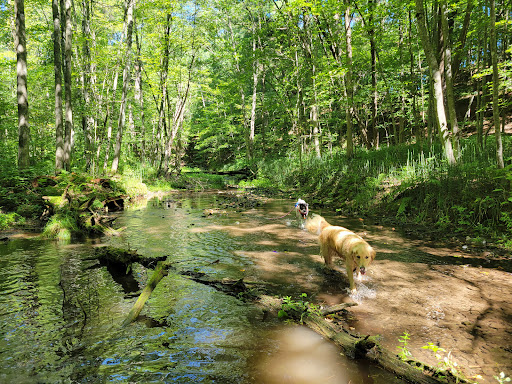 Ice Age Scenic Trail/Tuscobia Trail - Thumbnail