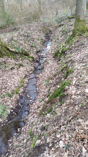 Ostholzbachtal - Thumbnail