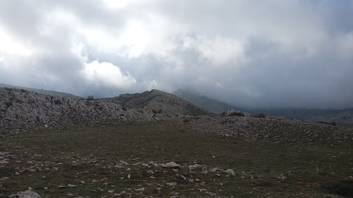 Campos de Hernán Perea - Thumbnail