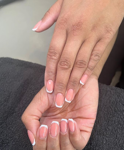 PAMPERVAN - Visual