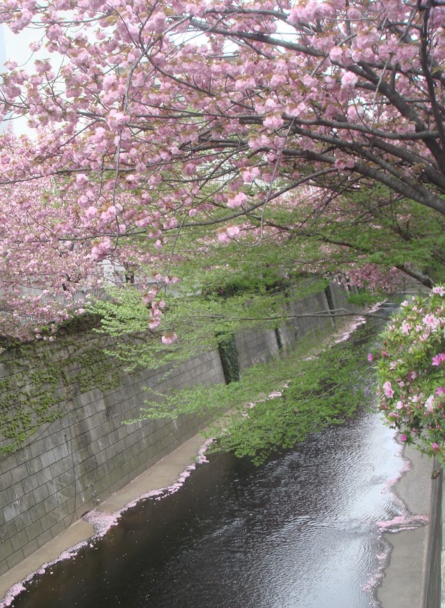 Nakameguro