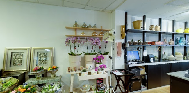 Beoordelingen van Bloemsierkunst Mimosa in Enschede - Bloemist