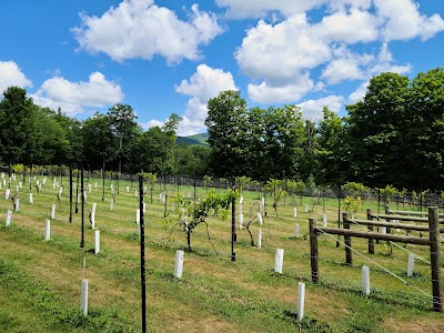 The Vineyard At Windham