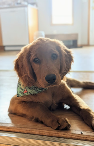Martensville Veterinary Hospital Gallery - Canada
