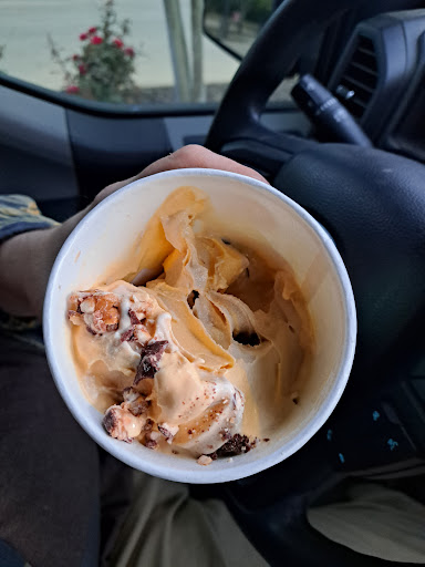 Gooseberry Frozen Yogurt - Thumbnail