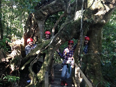 Photos of Tico Lingo Spanish School