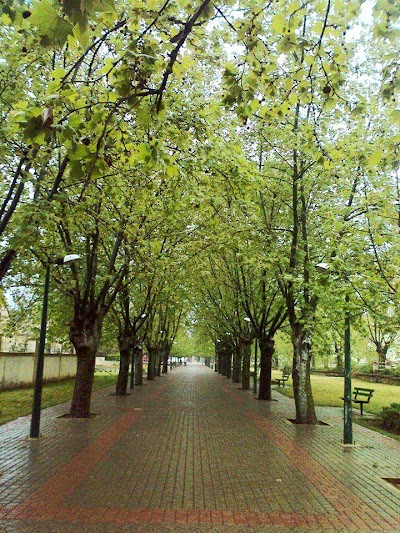 Photos of Place Amman