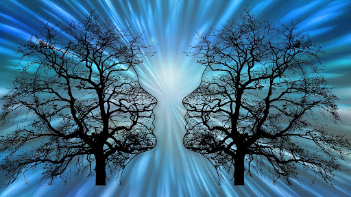 Psycholog mgr Anna Kujawska