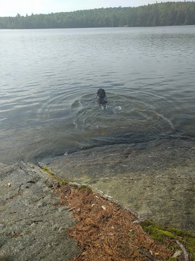 Ledge Pond Islands