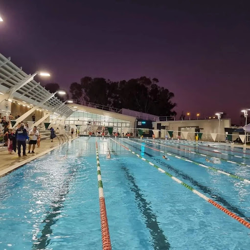 MANDURAH SWIMMING CLUB - Thumbnail
