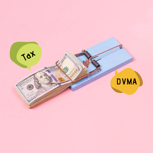DVMAccounting - Visual