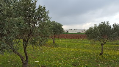 Photos of Hamouda Company