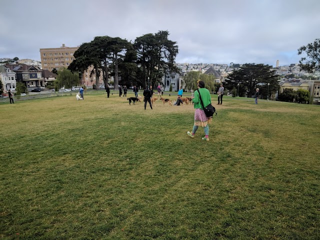 Alamo Square Park