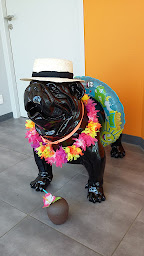 Photo n°9 de Clinique Vétérinaire VetAlouettes Les Herbiers à Les Herbiers (Clinique vétérinaire)