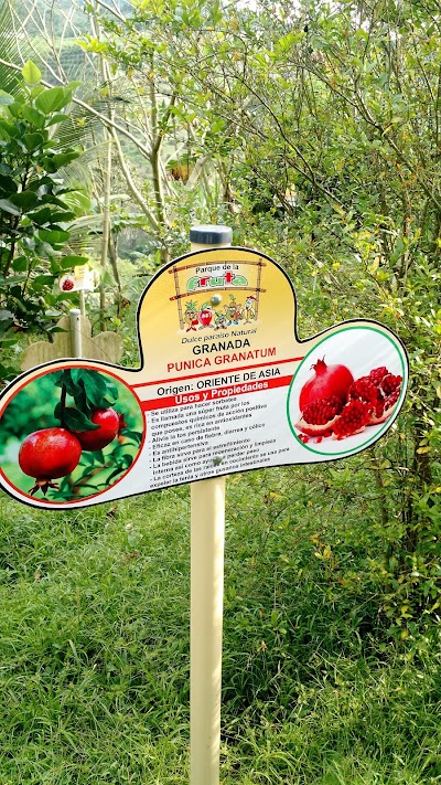 Photos of Parque de la fruta