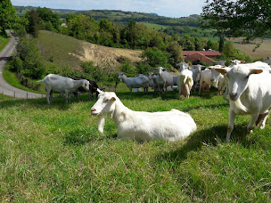 Photo n°2 de GAEC DES BARATONS à Châteauneuf-de-Galaure (Fabricant de fromage)