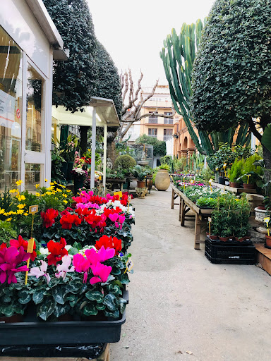Ricardo Font Floristes - Thumbnail
