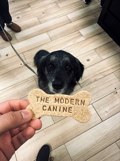 The Modern Canine - Dog Store & Grooming - Thumbnail