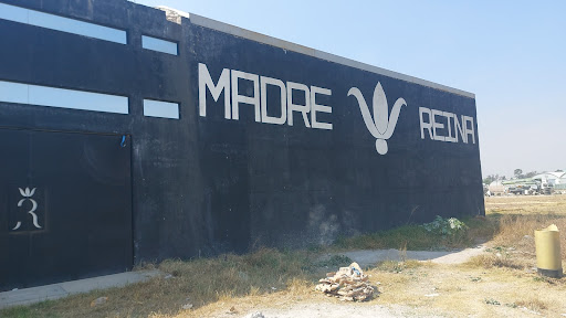 Madre Reina