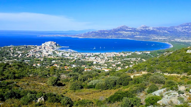 Calvi