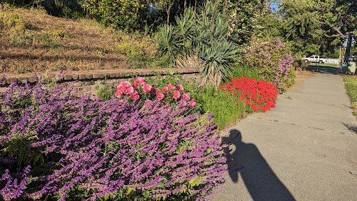 Garden of Preschool Gallery - United States
