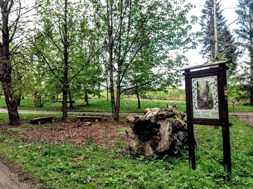 Rothaarsteig - Visual