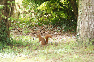 Photo n°12 de Les Cèdres de Giverny à Giverny (Gîte)