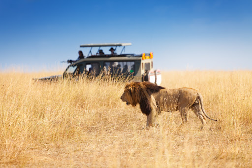 Go Afrique - Visual