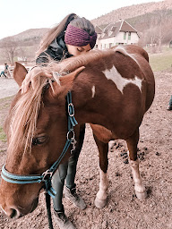 Photo n°1 de Melanie Viola Ostéopathe Animalier à Saint-Étienne (Siège social)