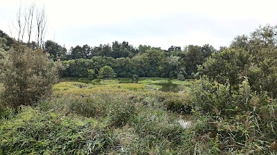 Photos of La Foresteria dell'Oasi