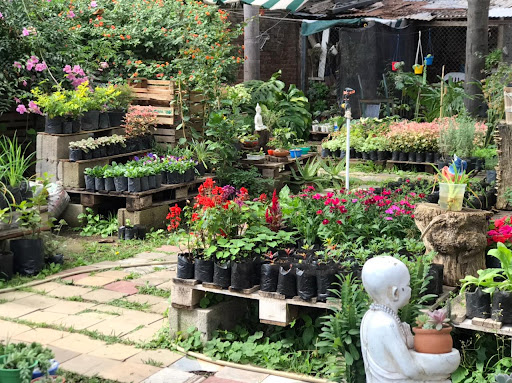 VIVERO TERRANOVA - Foto 1