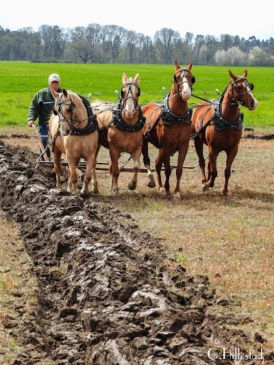 Yamhill Valley Heritage Center - Yamhill County Historical Society