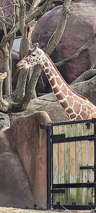 Saint Louis Zoo North Parking Lot