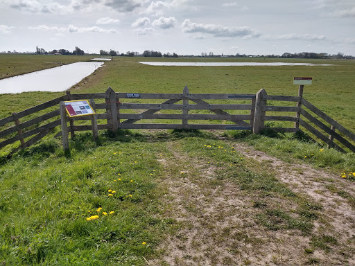 Vogelkijkplaats Polder Berkmeer