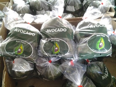 Photos of AVO FRESH