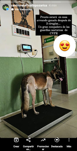 Centro Veterinario Poza Rica