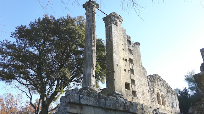 Opinii despre Le Repaire în Salon-de-Provence - Autre