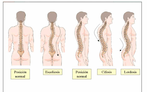 Roll & Quiro Osteopatia Otura - Thumbnail