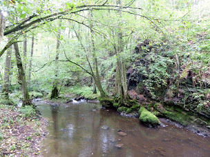 Photo n°12 de Mairie de Saint-Michel à Saint-Michel (Hôtel de ville)