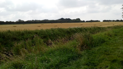 Bottesford Beck Bridleway - Thumbnail