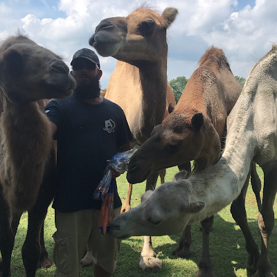 Work Horse Farm Rescue And Exotics