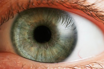 Photos of Optica SCHANZE. Salud Visual Oftalmologia