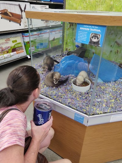 Petco