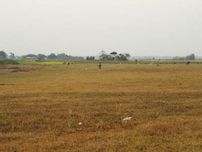 Photos of Kalna Ferry Terminal
