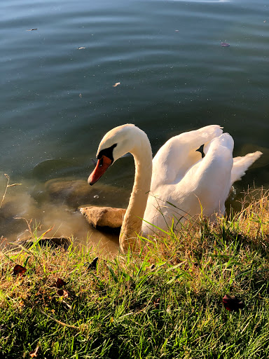 Around Pond RV Park - Thumbnail