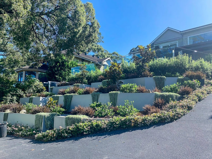 Cultivating Community: Landscaping for Sydney's Public Spaces