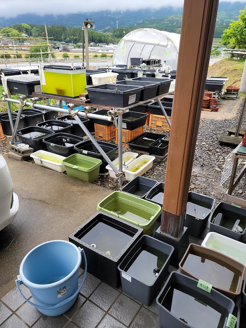 牧メダカ屋