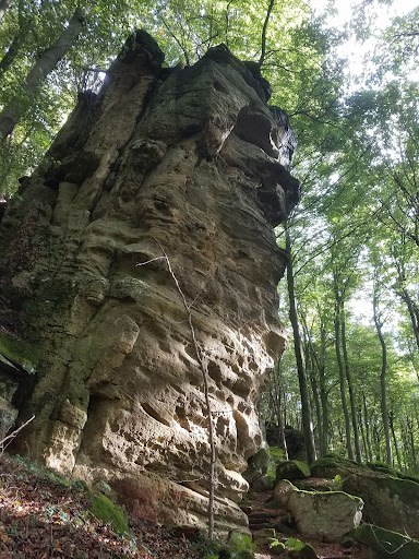 Bollendorf - Thumbnail
